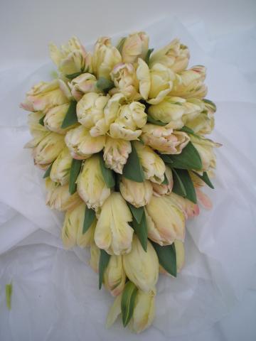 Brompton Floral Designs Wedding Flowers Central London UK NW4  - Cream and Blush Pink Tulips 